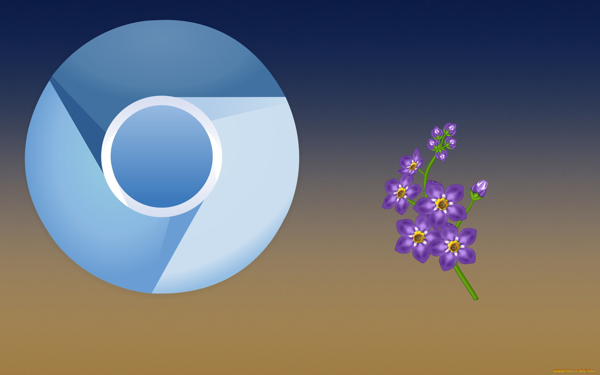 , google,  google chrome, , 